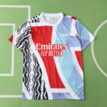 2425 season Arsenal F.C. Training shirt Fan version