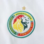 2526 season Senegal home Fan version - Image 5