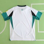 2425 season Newcastle third Fan version - Image 17