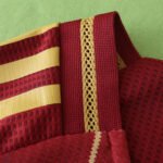 2425 season A.S. Roma home Player version