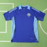 2425 season Como 1907 Training shirt Fan version