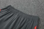 2526 season Fußball-Club Bayern München Training clothes suit Short sleeve Fan version - Image 12