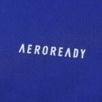 2425 season Como 1907 Training shirt Fan version - Image 7