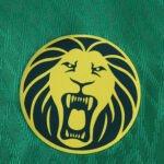 2526 season Cameroon home Player version - Image 2