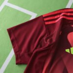 2526 season Germany away Fan version - Image 3