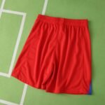 2526 season Paris Saint-Germain F.C third shorts - Image 2