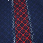 2526 season Paris Saint-Germain F.C. home Fan version - 图片 9