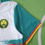 2526 season Cameroon third Player version - Image 4