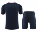 2425 FC Barcelona / Barça Training clothes suit Short sleeve Fan version - Image 9