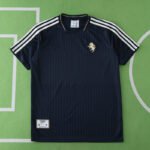2425 season Juventus F.C. Concept version Fan version