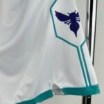 NBA Charlotte Hornets shorts - immagine 2