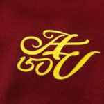 2425 season Aston Villa F.C. home Kids kit - Image 14