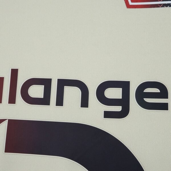 2526 season Lille OSC away Fan version - Billede 5