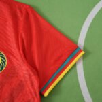 2526 season Cameroon away Player version - Image 5