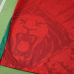 2526 season Cameroon away Fan version - Image 10
