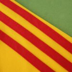 2000 season Romania home retro Fan version - Image 6