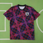 2526 season Olympique Lyonnais Training clothes Fan version