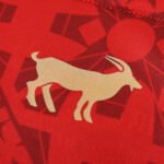 ⁦2425 season Portugal Concept version Fan version⁩ - الصورة ⁦10⁩