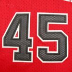 NBA Chicago Bulls 45#JORDAN - Image 2