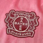 2526 season Bayer 04 Leverkusen away Player version