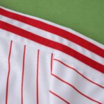 2526 season S.L. Benfica Concept version Fan version - Image 4