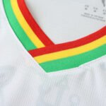 2526 season Ghana home Fan version - Image 6