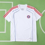 2526 season Fußball-Club Bayern München Concept version Fan version