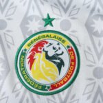 2425 season Senegal home Fan version - Image 4