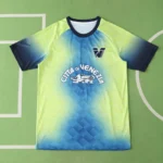 2425 season Venezia F.C. Concept version Fan version
