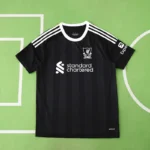 2526 season Liverpool F.C. goalkeeper Fan version